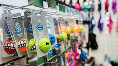 Food Lover’s enters R9.6bn pet food market partnership with VetsMart