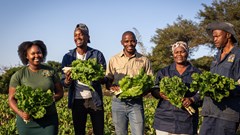 Mondi Zimele spurs local economic recovery with 122 emerging farmers