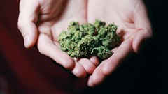 Image source: Alexander Grey from