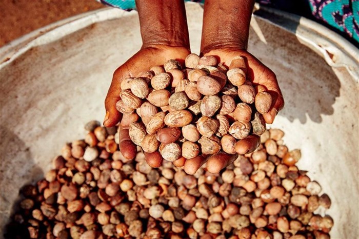 The Body Shop: A pioneer in Community Fair Trade