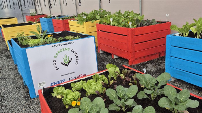 FoodForward SA seeks to empower communities through food garden initiative