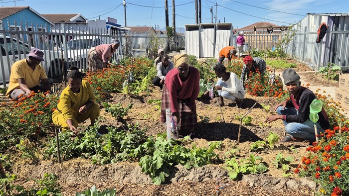 FoodForward SA seeks to empower communities through food garden initiative