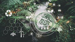 Image source: Chayanit Chankhong –