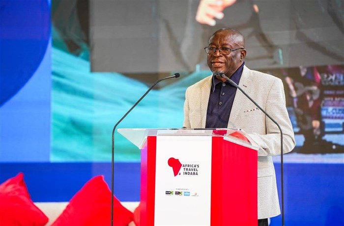 Source: Supplied | Deputy Minister of Tourism, Fish Mahlalela