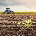 Financial skills key to unlocking SA farmers' long-term prosperity