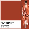 South African Rooibos inspires bold new colour trend for 2024