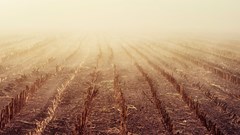 Image source: Johannes Plenio from