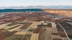 #SAelections24: A crucial turning point for rural development and land reform