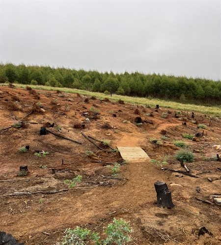 Sappi Karkloof Classic Trails Festival – Building a lasting legacy