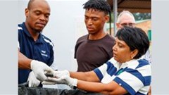 Sappi Southern Africa launches innovative aquaponics venture