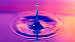 #WorldEnvironmentDay: Massmart commits to saving water