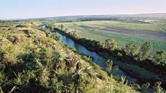 Image: SANews.gov.za