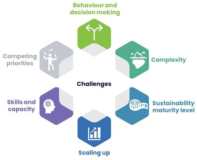 Moving from sustainability compliance to impact