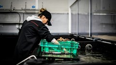 Oceana Group reveals record first-half performance