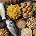 FAO foresees stable food commodity markets amid 2024/25 outlook