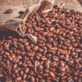 No respite for coffee lovers as higher global prices stoke local inflation