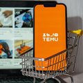 5 things Temu can teach e-commerce businesses