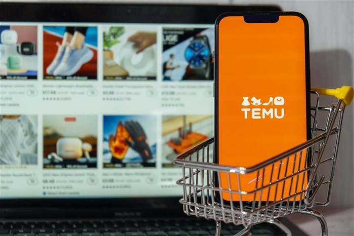 5 things Temu can teach e-commerce businesses