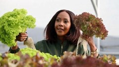 Mbali Hlophe was appointed Gauteng MEC of the social development and agriculture departments in October 2022. Photo from the Gauteng government (fair use).