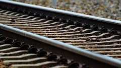 Source: Alexas_Fotos via