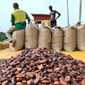Cocoa traders suffer $1bn blow amid Ghana supply issues