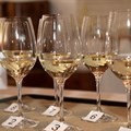 Sauvignon Blanc SA opens FNB Top 10 competition entries