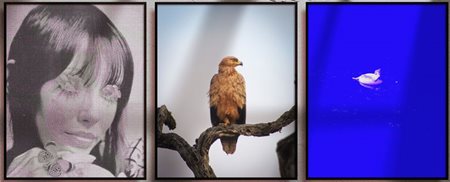 Machine_ launches its 2024 'Machine_67 x Blackboard' art initiative