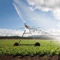 Survey: SA agribusinesses show high innovation despite challenges