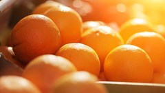 Bad weather forces downward adjustment of orange export estimates