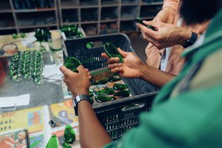 Heineken showcases cutting-edge sustainability initiatives