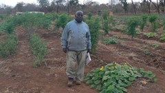 Farmers fear loss of land to Motsepe Foundation citrus project