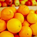 WTO cases against EU citrus measures move forward