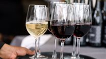 Sip Easy! City Lodge Hotels launches debut house wines
