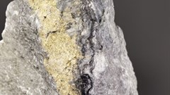 Windfall and Urban Barry have great potential