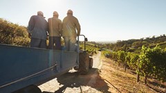 Agriculture jobs decline in Q2 2024 but remain above long-term average