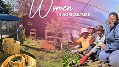 Women in agriculture: Empowering South Africa&#x2019;s unsung SHEroes