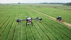 The role of AI in the agricultural revolution and risks of change