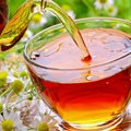 Functional teas boost the health of South Africa&#x2019;s tea market