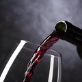 AI-powered visual wine guide unveiled at 2024 CWG Auction Showcase