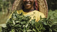 Exploring gender parity in land reform and strategies to empower women