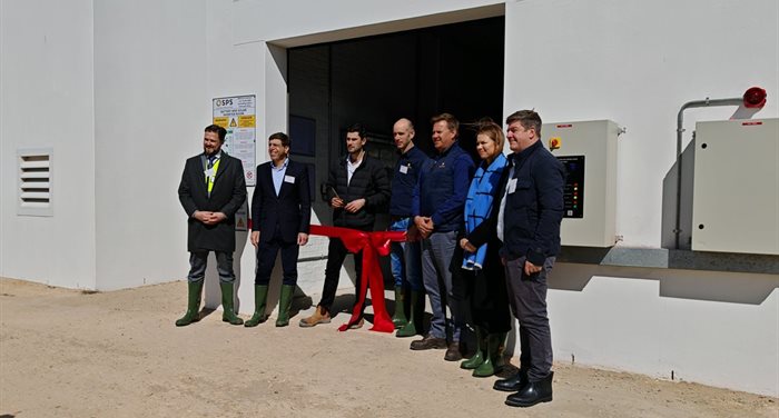 How Aqunion abalone farm threads the cost-effective solar needle