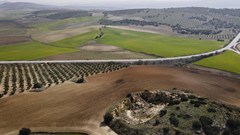 Unlocking Africa&#x2019;s agricultural power to ensure food security for all