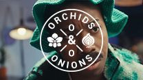 #OrchidsandOnions: VW's romantic approach to marketing the latest Polo Vivo