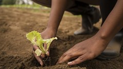 Kagiso Trust, Spar partner to empower rural farmers with R3m donation