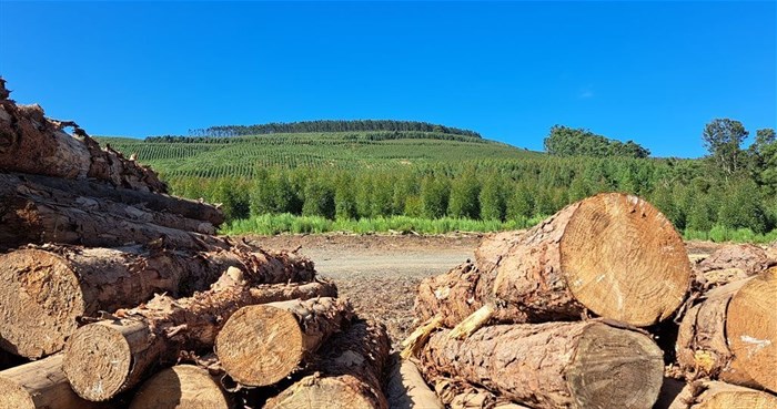 Source: Supplied | ©Roger Poole