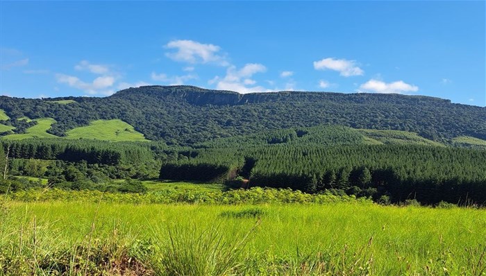 Source: Supplied | ©Roger Poole