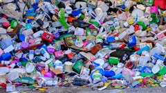 Image source: Engin Akyurt from