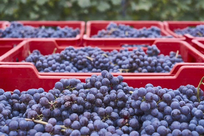 Source: wirestock via