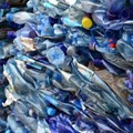 Source: © 123rf  A new R300-million processing facility - a first-of-its-kind technology for Africa - will add an extra 15,000 tonnes per annum of food-grade recycled PET output capacity (Pictured: plastic bottles ready for recycling)