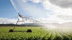 25bps rate cut provides relief for the agricultural sector in tough times